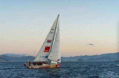 海上茶葉縱貫線 陸路國際貨運(yùn)代理業(yè)務(wù)的戰(zhàn)略支點(diǎn)與時代新章